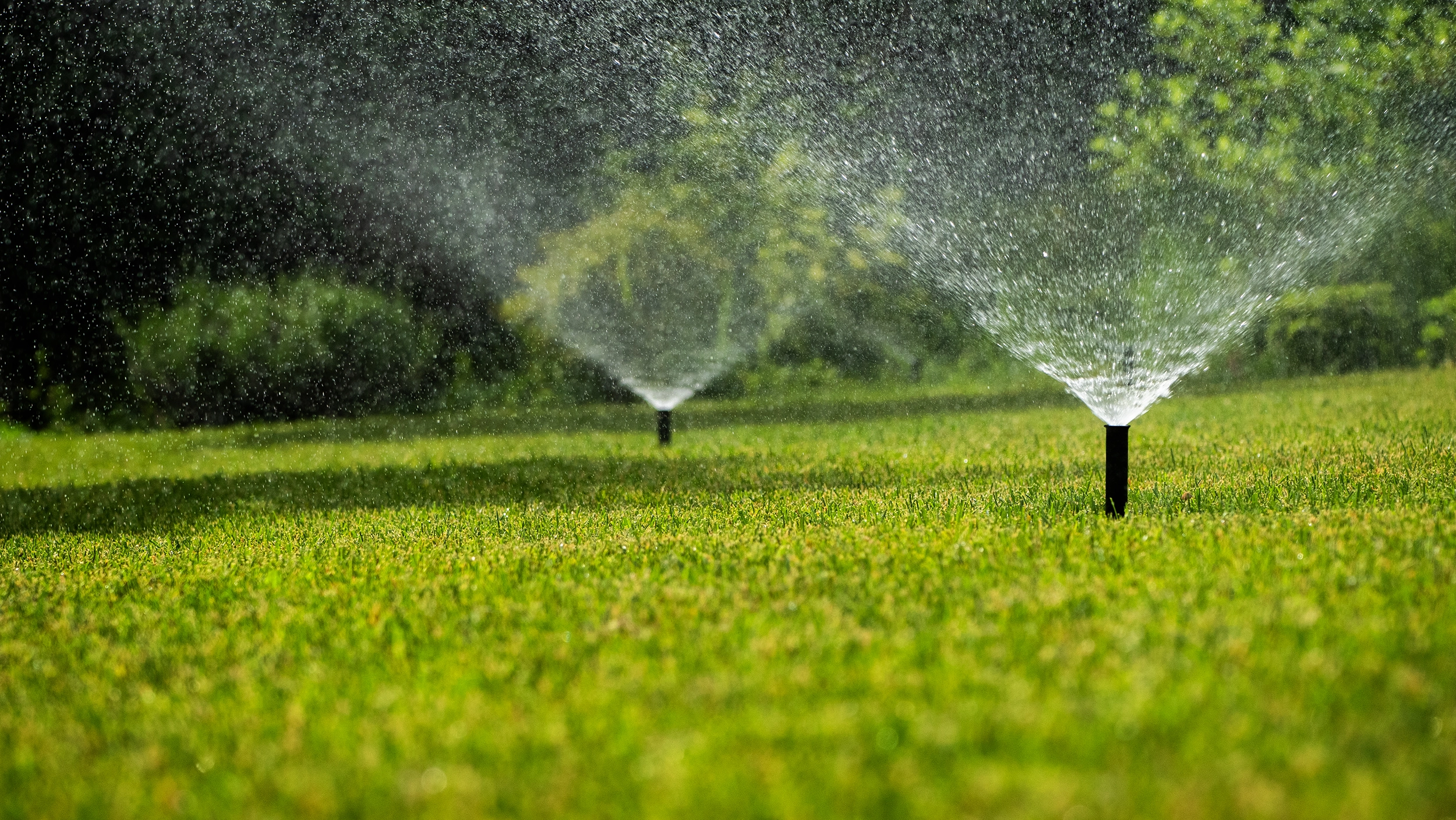 Irrigation Services in Stamford